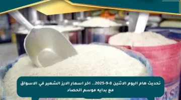 تحديث هام اليوم الاثنين 8-9-2025.. آخر أسعار الأرز الشعير في الأسواق مع بداية موسم الحصاد